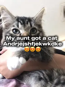 🥰😍🥰