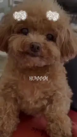 Coisa linda