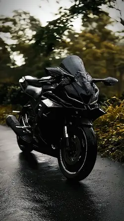 Transition/Moto