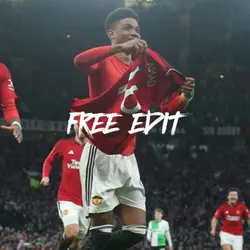 Free Edit