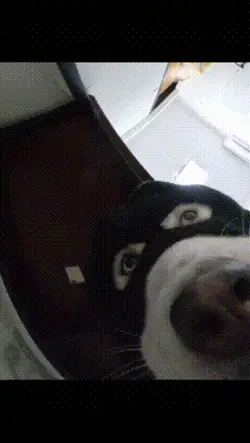 sneaking food