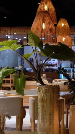 🤍 CAFE | VLOG 🤍