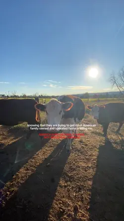 FAMILY FARMS 🌾🐖🥩