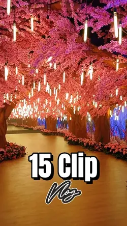 15 Clip Vlog