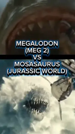 THE MEG VS MOSA