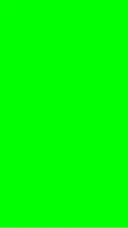 Grinch Chasing Santa