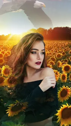 Eagle & Sunflower 