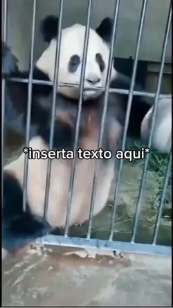 Panda Hambriento 