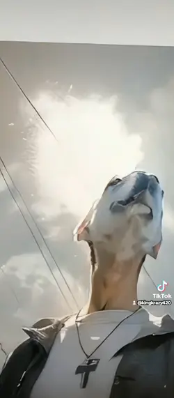Morphalot