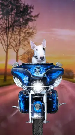 Riding a Motorcycle