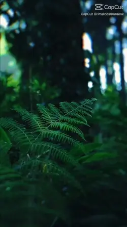 Intro In