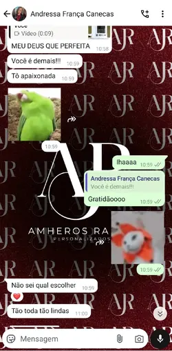 recebendo Feedback 