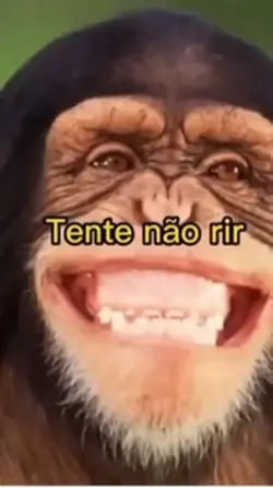 Tente não rir