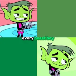 beast boy and raven
