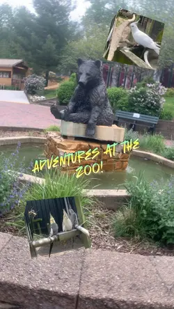  Zoo Adventures