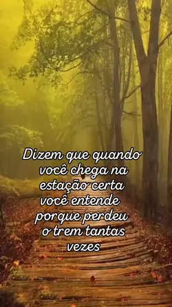 O trem 