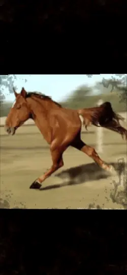 Crash 