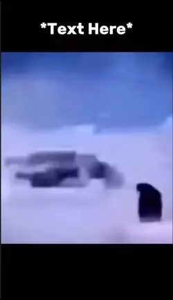 Penguin  meme 