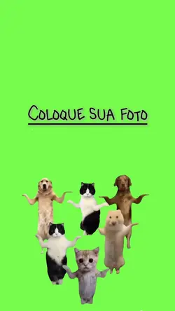 Pets dançando 