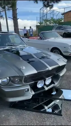 classic car 