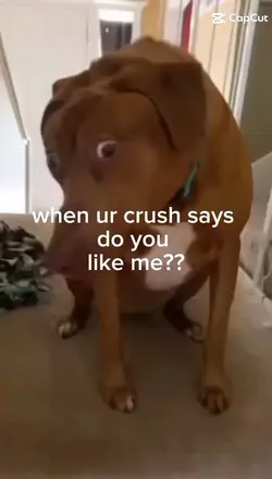 eerrhmmm