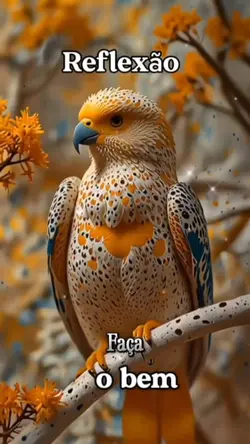 REFLEXÃO 