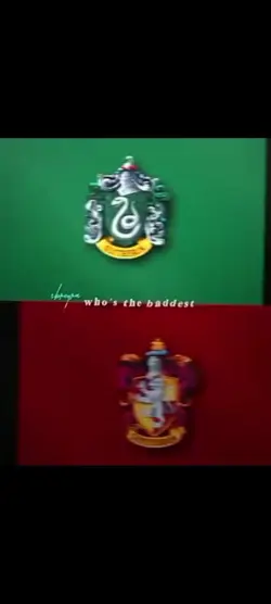 Gryffindor Slytherin