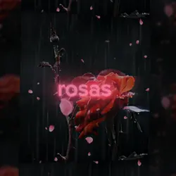 Mil rosas para mi 🥀