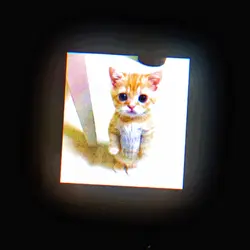 MEOW MEOW MEOW MEOW 