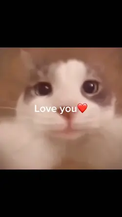 Love you❤️