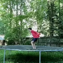 best transition 