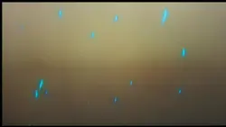 TOG Template