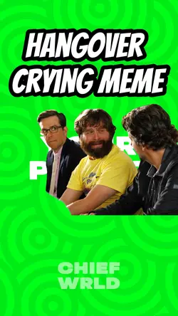 Hangover crying meme