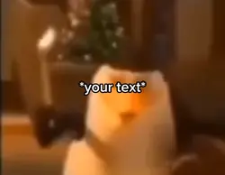 Penguin meme