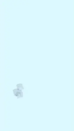 EFEITO NOVO