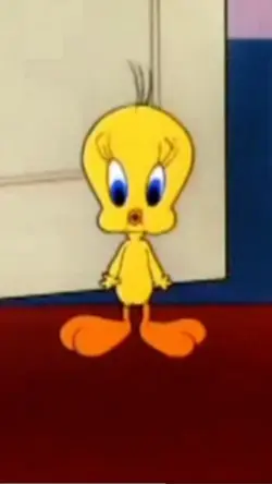 Cat Tweety Bird