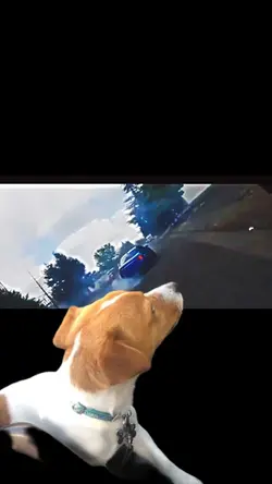 Drifting 