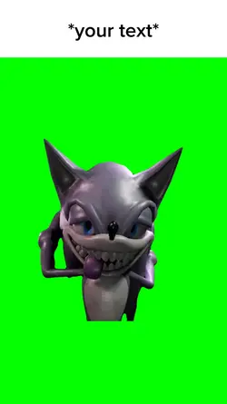 Rizz sonic