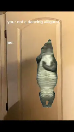 Dancing alligator 