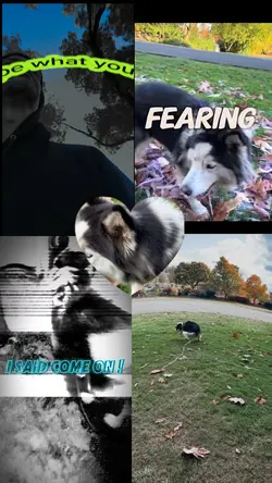 Multi screen 5 vid