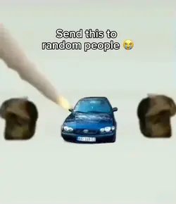 Cats meme