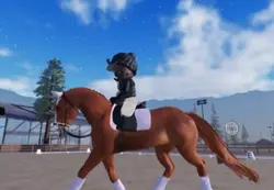 horses at the stable