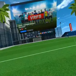 Vrfs goal