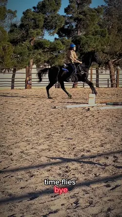 walking to galloping
