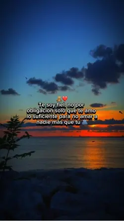 Frases de amor 