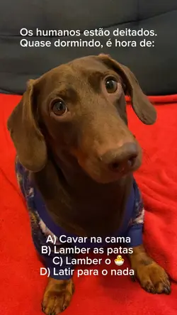 Próxima pergunta 