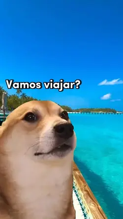 Vamos viajar? Meme 