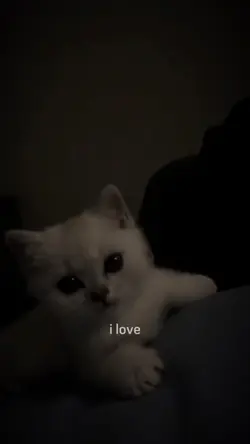 i love