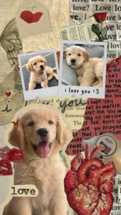 PET Wallpaper 
