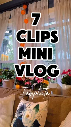 Mini vlog
